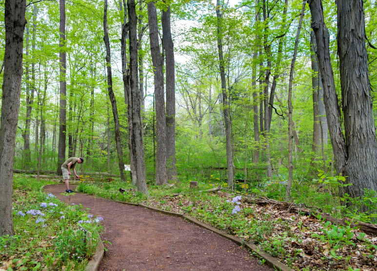 Bowman's Hill Wildflower Preserve, United States